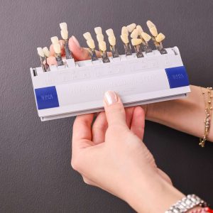 Porselen Lamina Renk Seçimi